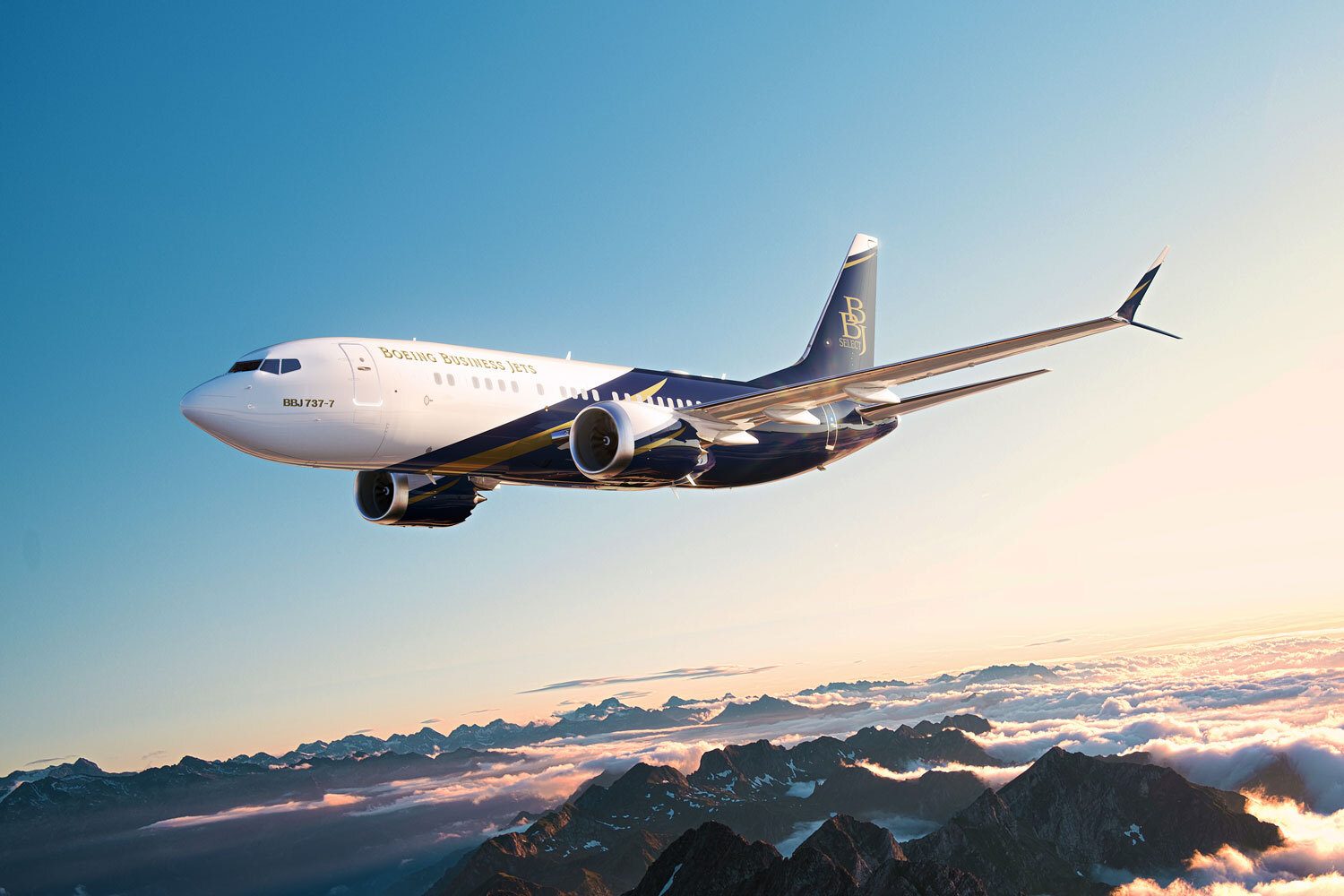 VIP Airliner
